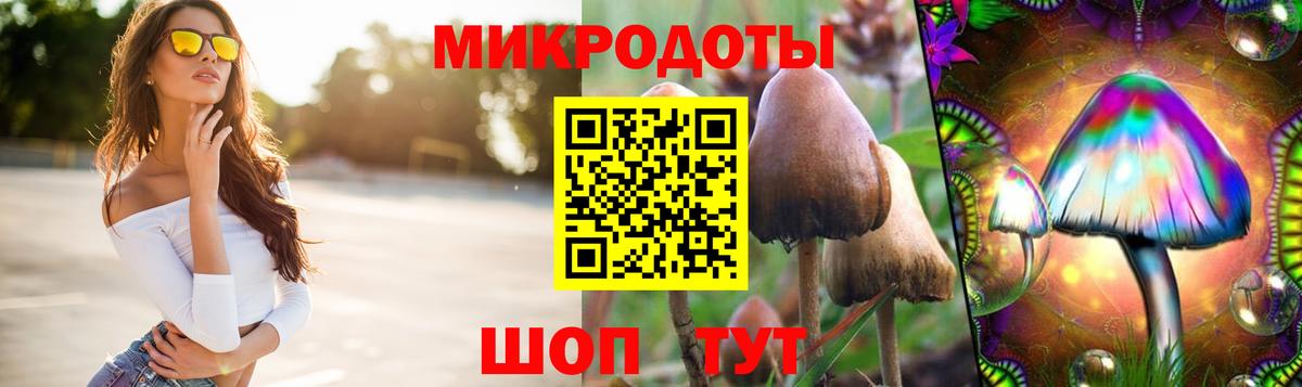 Галлюциногенные грибы GOLDEN TEACHER Махачкала